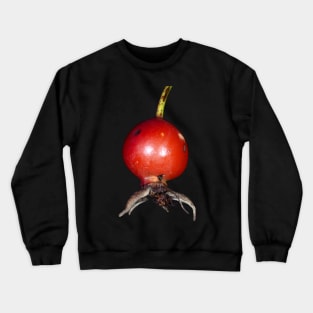 Wild rose fruit close-up Crewneck Sweatshirt